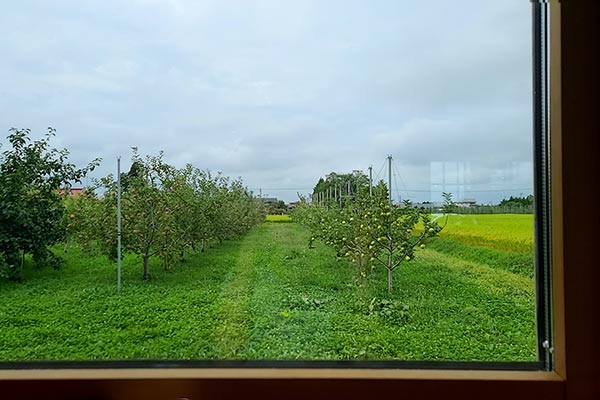 窓からの景色はりんご畑