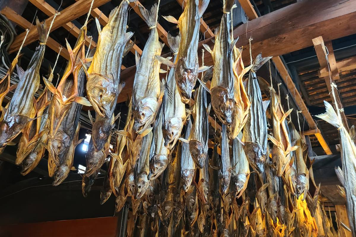 塩引き鮭 吊るされている様子